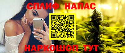 сатива Новодвинск