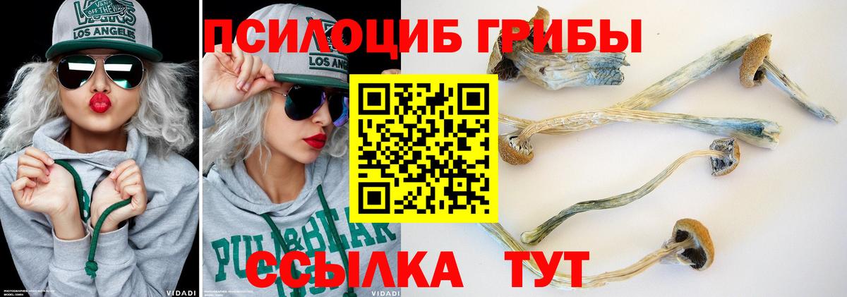 Псилоцибиновые грибы мухоморы  Вход с VPN  Пенза 